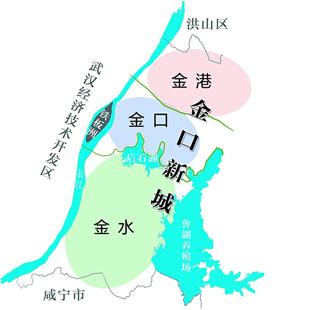 武汉金口地图图片