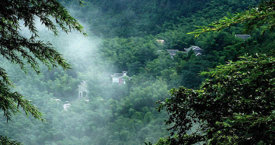 永川竹海農家樂 茶竹資源的永川最值得稱道的旅遊資源