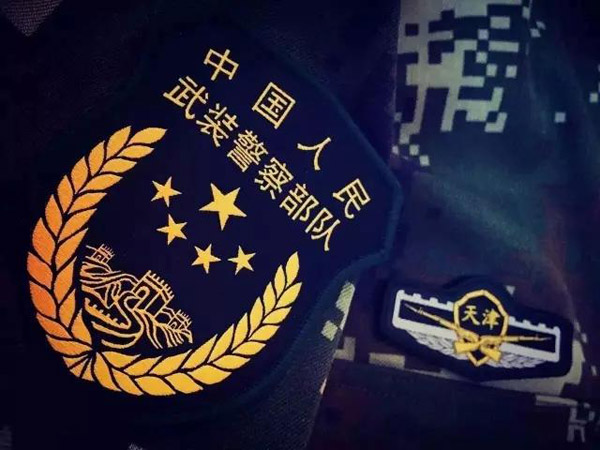 武警新臂章图片