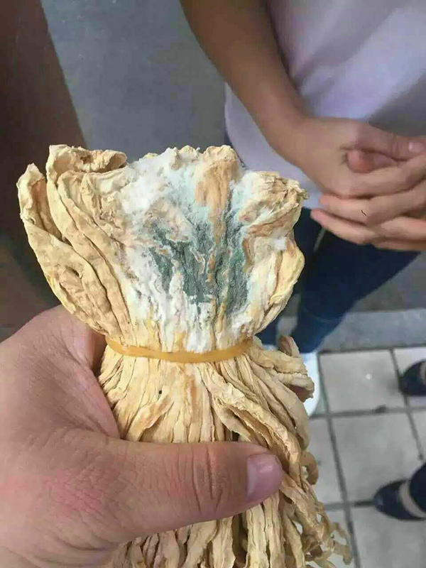 家长提供的照片显示,食堂内的萝卜干有的已经发霉。