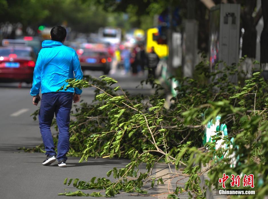 【组图】乌鲁木齐大风肆虐 民众风中"凌乱,风中凌乱表情