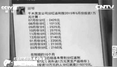 “千木灵芝”集资案9万人被骗