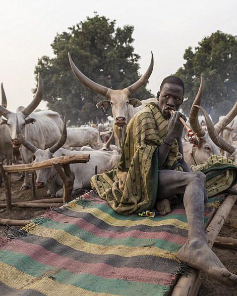 摄影师塔里克·扎伊迪日前用镜头记录了苏丹南部mundari部落的迷人
