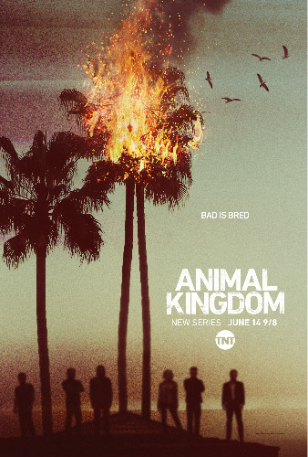 《动物王国》： 欢迎加入“野兽”家族动物王国
