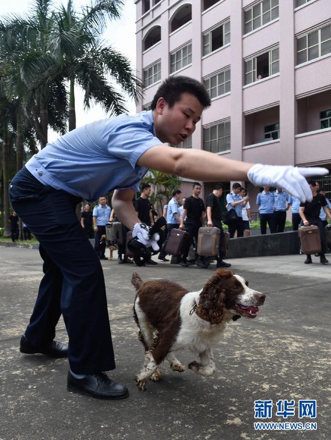 广东:警犬技术比武(组图)