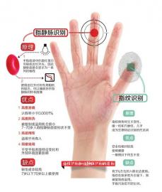 制图/杨仕成