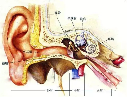 中耳炎