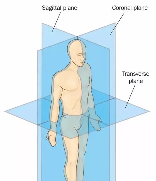 自由泳划水抓水训练:时机与身体的延伸有关系