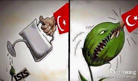 土耳其被一手培植起来的ISIS反咬一口
