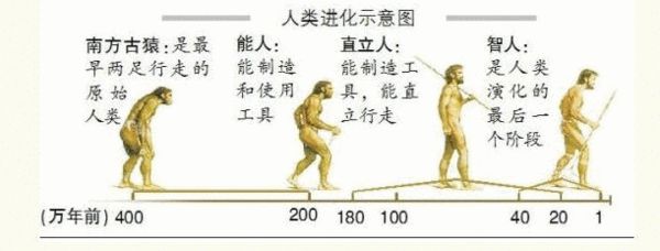 《自然》杂志刊文:中国正在改写人类起源学说北京郊区,一座名为龙骨山