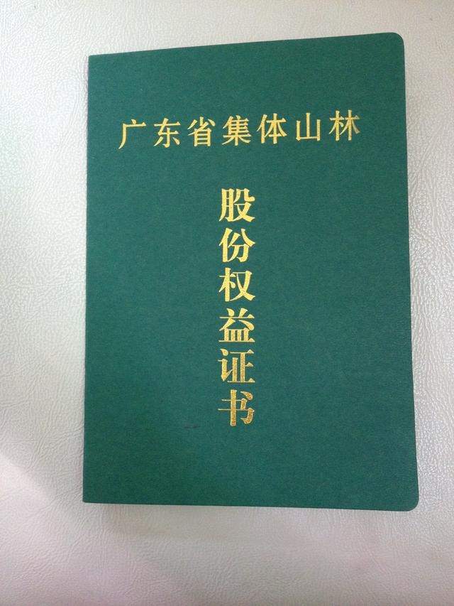 广东潮汕一村委扣留山林股权证 上访村民遭诬陷被打