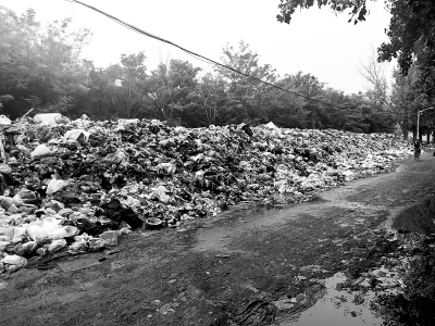 垃圾堆经过雨水浸泡,渗出的臭水流淌到路面上,肮脏不堪。