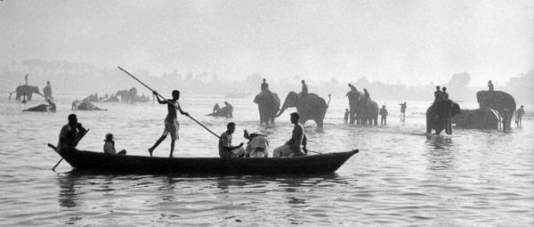 Bain des lphants dans le Gange, Inde, 1956