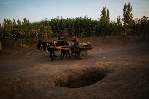 一名男子赶驴车经过一口井，井的水源来自吐鲁番的坎儿井。