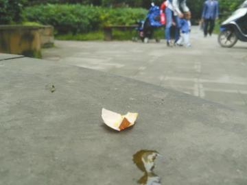 花坛上,还残留有部分蛋壳碎片。