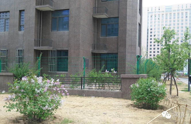 冯志明所住的高档小区一楼四周都拉着窗帘