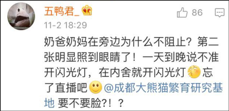 游客在上海野生动物园擅自投喂大熊猫 称是效仿综艺节目