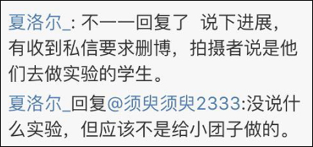 今天（3日）下午，网友@凤凰-Dream 称自己已经向成都市林业和园林管理局举报，工作人员表示拍照男子已经被开除了实验资格，旁边帮助摆拍的人也被警告教育。