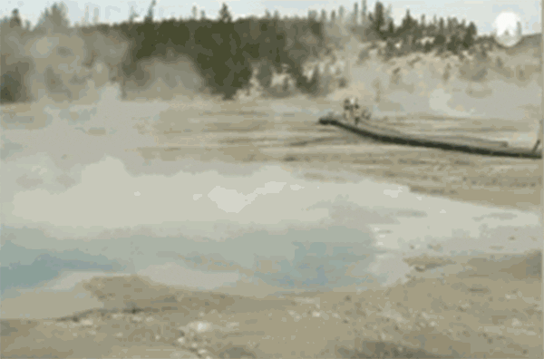 美国黄石公园一游客违规跑进非开放区 试图泡“野温泉”身亡