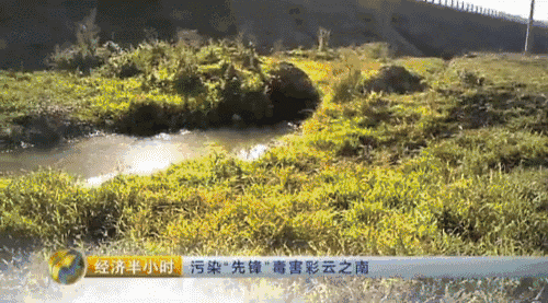 彩云之南惨遭毒害:云南先锋化工污染严重拒不停工