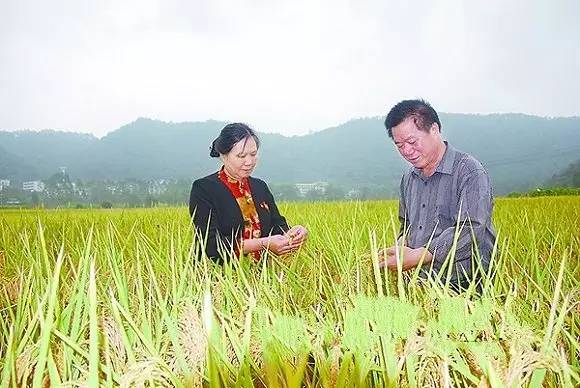 结婚33年来,他们在生活上互敬互爱、相濡以沫,彼此尊重、相互帮助。在事业上志同道合、彼此支持、敬业奉献,经常日以继夜、废寝忘食地工作,取得了突出成就。