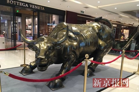 北京金融街铜牛图片
