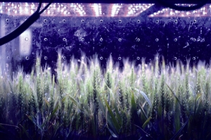 1214ʵܱղֲС »緢