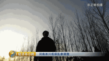 为了弄清事情的来龙去脉，记者来到了淅川县民政局，这里负责当地低保户的名单审核工作。接待记者的是淅川县民政局一名工作人员，他表示，低保名额需要个人申请，至于是否符合低保条件，完全由村委会自己决定，这不关民政局的事。
