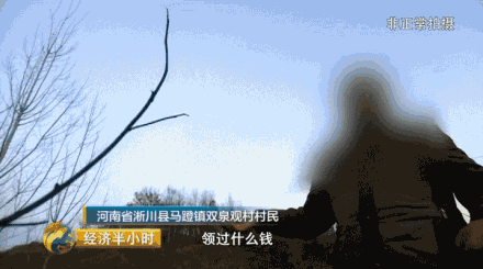 事实究竟是怎样的，这3750元钱，是否真的存在呢？记者专程和王景华一起到银行打印出交易明细。在明细单上明确显示，2015年6月和2016年5月王景华的银行卡各有一次现金存取交易，金额都是3750元这30亩退耕还林款为什么会打到王景华的卡上？陈店村到底有没有和他同名同姓的人呢？记者赶到马蹬镇陈店村接连打听了多名村民，当地人都表示村里根本没有王景华这个人。