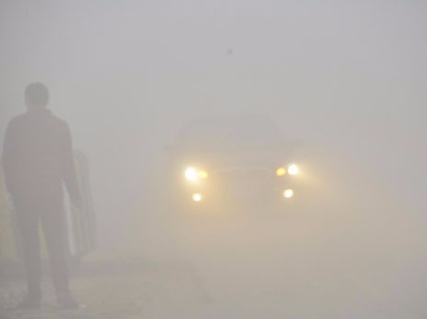 雾霾天我们该吃些什么?不少商家推出的“防霾茶”靠谱吗?对此,北京中医医院院长刘清泉说:“我们不建议喝那些药茶。我也看过很多方子,里面都有一些不是药食同源的药,有些长期喝是有问题的。至于吃海带能把肺里的雾清除出去的说法,霾在肺里停了吗?肺里自然有清除体系,比如我们咳痰,就是在清除肺里的杂质。”