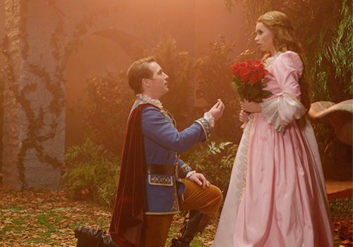 王子和公主求婚图片