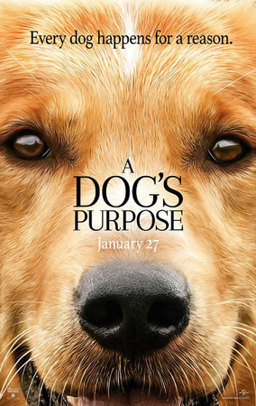 һʹA Dog's Purpose