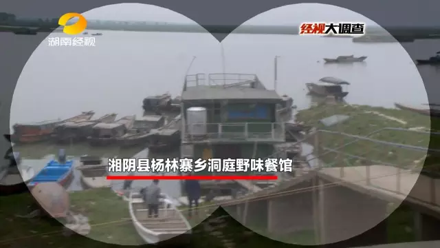 名为“洞庭野味餐馆”的店铺就在湘阴横岭湖区的港口。看上去很普通的餐馆却隐藏着一个大秘密。