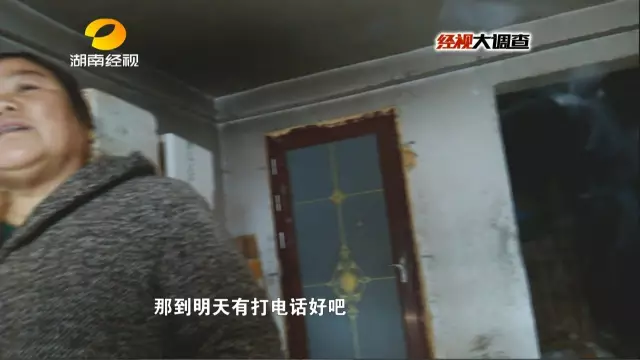 爱鸟人士立即将手中购买的活体小天鹅，送往湘阴县森林公安局，随即湘阴县森林公安局将受伤的小天鹅送往湖南野生动物鉴定中心，进行救治和鉴定，在随后多天，记者和爱鸟人士再次对洞庭野味餐馆进行了蹲点跟踪调查。