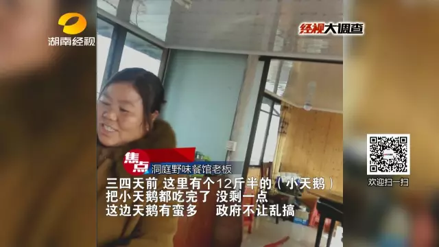 梁老板行事特别谨慎，他的很多“小天鹅”都是又悄悄的送到了别的野味餐馆。
