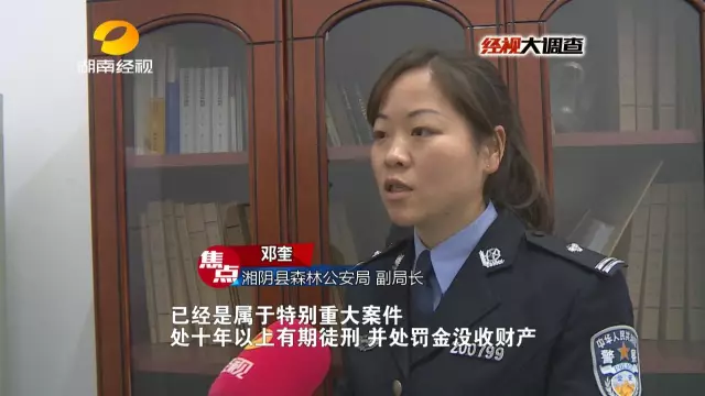 这起重大案件涉案的犯罪嫌疑人共16人，通过抓捕和规劝投案，目前已到案10人，其中1人刑事拘留，3人批准逮捕，6人取保候审，另外6名在逃人员公安机关正调集力量展开抓捕。