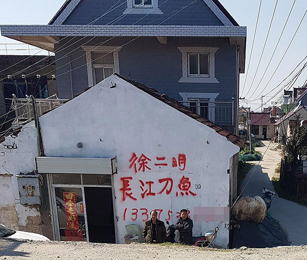 崇明奚家港,路边便有经营长江刀鱼的经纪人。