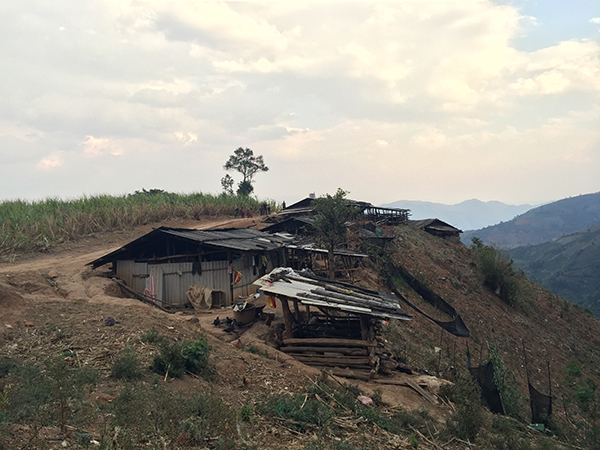 移民们分布在高黎贡山半山腰，大多数人居住的仍是简陋的窝棚。 澎湃新闻记者 赵孟 图