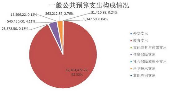 2017年高层次人才计划专项经费项目预算36909万元，其中人才计划专项经费35170万元，主要用于“长江学者奖励计划”入选者奖金、国家“万人计划”教学名师特殊支持等。学位论文抽检800万元，学位授权点合格评估430万元，优秀博士论文资助509元。