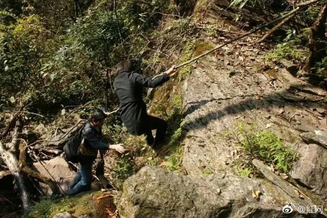 张家界桑植县一个神奇的无名山洞内，许多枯木上有着美丽的“蝴蝶印”，像是画上的，又像是刻上的。当地老人说，这是蝴蝶和枯树长期守护着无名洞。对此，专家称，树在生之前，有越冬的成虫咬开树皮，产下越冬卵，第二年，虫卵孵化后留下卵囊。随着时间的推移，树枯死，树皮腐蚀，之前的痕迹被保留下来，由此出现了枯树身上的千只“蝴蝶吻”。