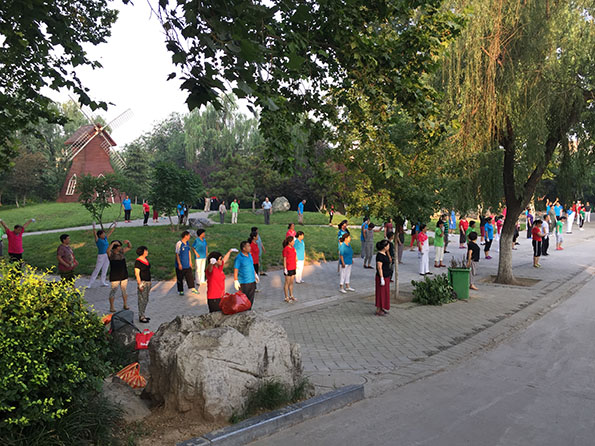 韩大爷广场舞队每早依旧聚集在公园大树下跳操。