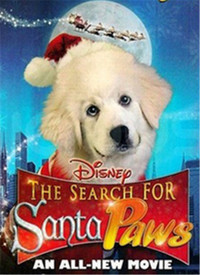 全面搜寻圣诞狗狗