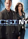 犯罪现场调查：纽约 第六季