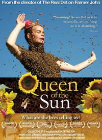 太阳女王：蜜蜂告诉我们什么？