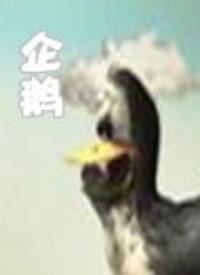 企鹅