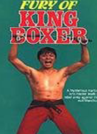 Fury Of King Boxer