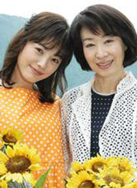 向日葵 夏目雅子27年演艺生涯与母爱 电影 高清视频在线观看 搜狐视频