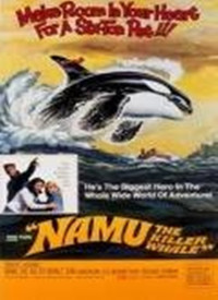 Namu，the Killer Whale