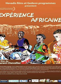 非洲的经验