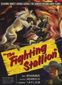 The Fighting Stallion
